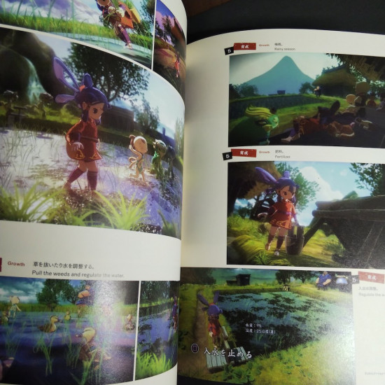 Sakuna Of Rice and Ruin Art Works