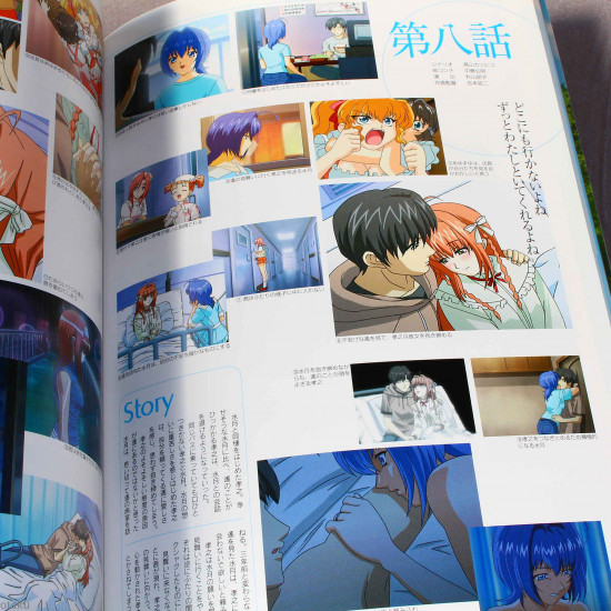 Rumbling Hearts / Kimi Ga Nozomu Eien Visual Book