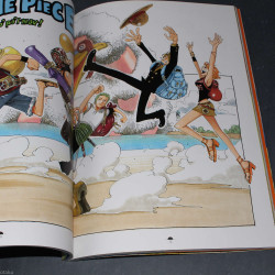 One Piece Color Walk 2 
