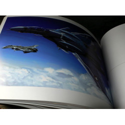 Valkyries Art Works Of Macross 
