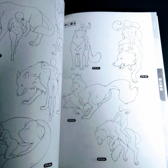 How to draw Animals and  Poses