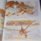 The Art Of Tales From Earthsea Gedo Senki Book 