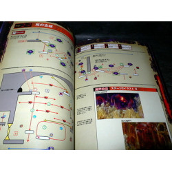 Ultimate Ghosts 'n Goblins PSP Official Complete Guide