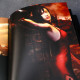 Biohazard 4 Resident Evil Film DVD Book - Incubate 