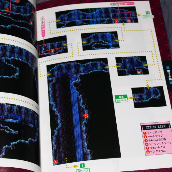 Castlevania Symphony Of The Night Game Guide Book 
