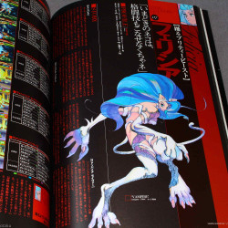 Vampire Hunter Savior Darkstalkers Graphic File Book 