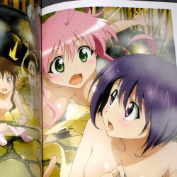 To Love-ru Anime Illustration Collection Cuties 