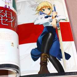 Fate/stay Night Saber Photograph Collection Art Book 