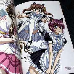 Nogizaka Haruka No Himitsu - Anime Art Book