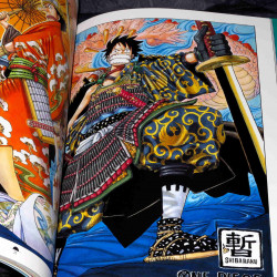 One Piece Color Walk 4 - Eagle 