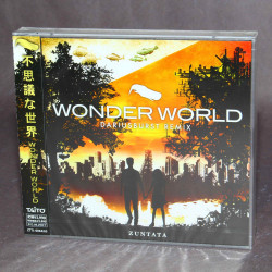 Darius burst Remix Wonder World