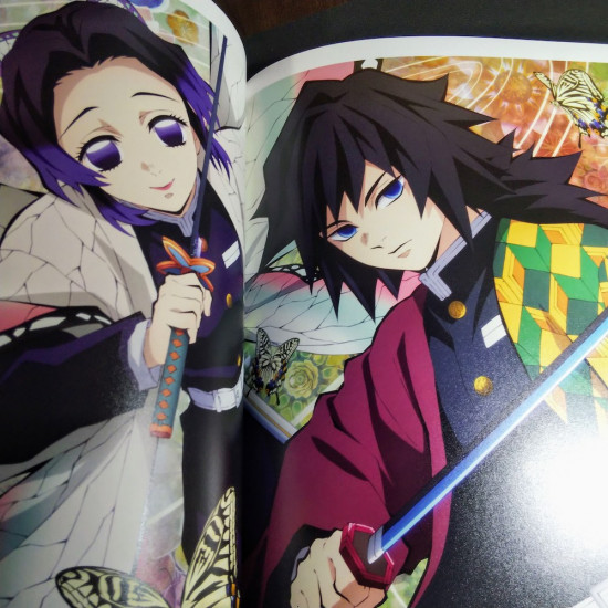 Demon Slayer  Kimetsu no Yaiba Anime Illustrations 1