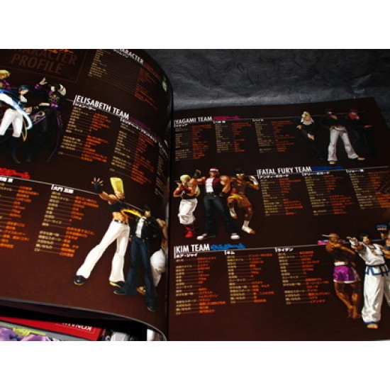 King Of Fighters XIII Master Guide