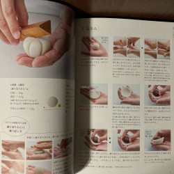 Nerikiri Text book - 12 months How to book - Wagashi