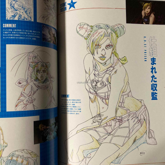 JoJo's Bizarre Adventure - TV Anime Original Artworks Book AAA 2