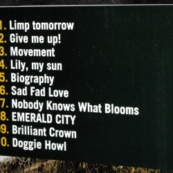 The Pillows HORN AGAIN Band Score Book