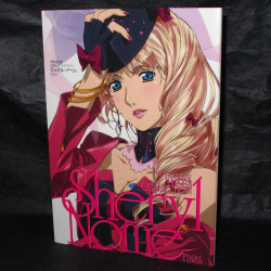 Macross F VISUAL COLLECTION Sheryl Nome FINAL