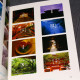 Hiroshi Sasaki Art Book ggg Books 85