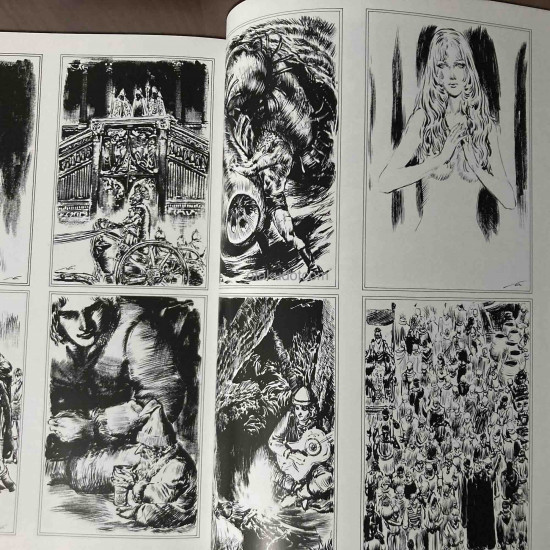 Guinsaga Naoyuki Kato Artworks