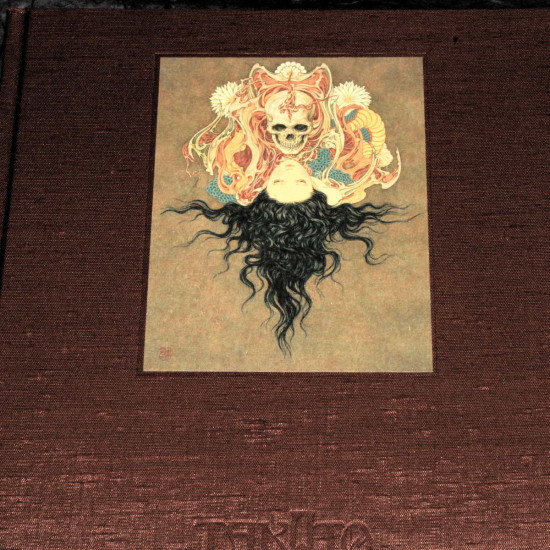 Takato Yamamoto - Coffin of a Chimera