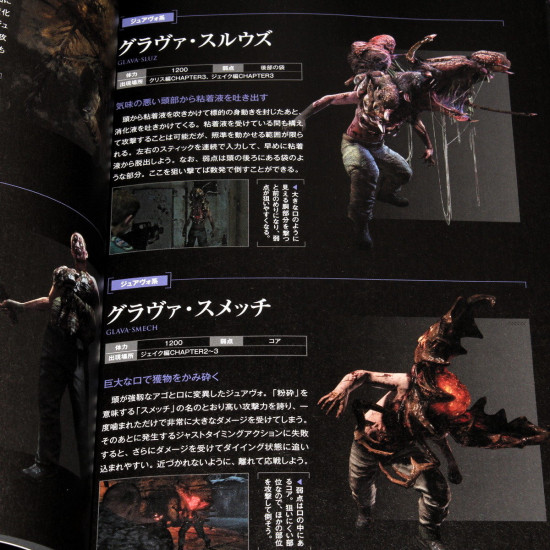 BioHazard 6 / Resident Evil 6 - Official Guide Book