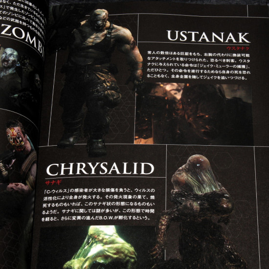 BioHazard 6 / Resident Evil 6 - Official Guide Book