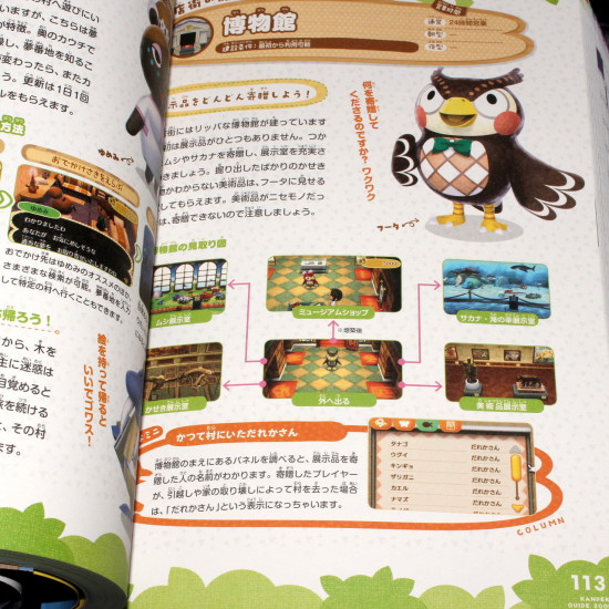 Animal Crossing Doubutsu No Mori Guide Book