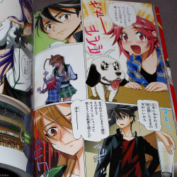 Highschool of the Dead - Full Color Edition 5