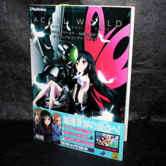 Accel World - The Visual Complete Guide 