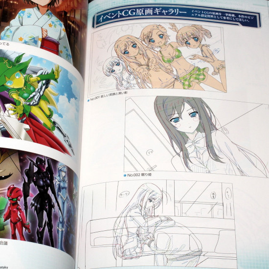 Accel World - The Visual Complete Guide 