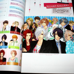 BROTHERS CONFLICT Passion Pink Official Visual Book