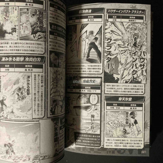 MY HERO ACADEMIA Final Fanbook Ultra Age