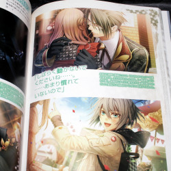 Amnesia Crowd - B'sLog Collection - Official Visual Fan Book