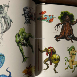 Wizardry Jun Suemi Artworks