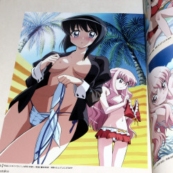 Zero No Tsukaima Complete Art Book