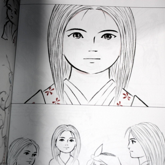 The Art of The Tale of The Princess Kaguya