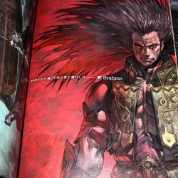 Valkyrie Profile 2 Silmeria - Visual Profile Complete