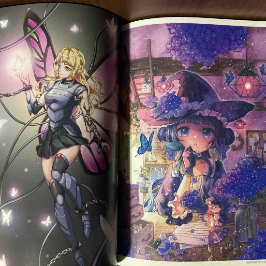 Fantasy 2025 (ART BOOK OF SELECTED ILLUSTRATION)