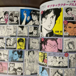 cat's eye Gaho Art and Guide Book