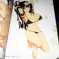 Senran Kagura Series Official Illustrations - Shoujo Tachi Book