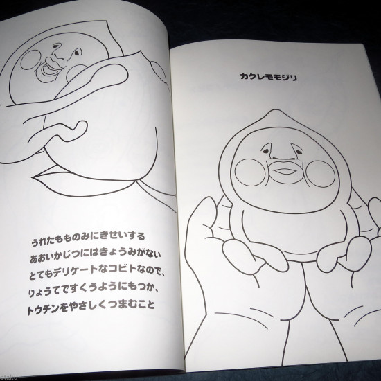 Nurie Kobito Dukan Coloring Book