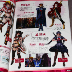 OneeChanbara Z Kagura / Zombie Zone Hunters - Art Book